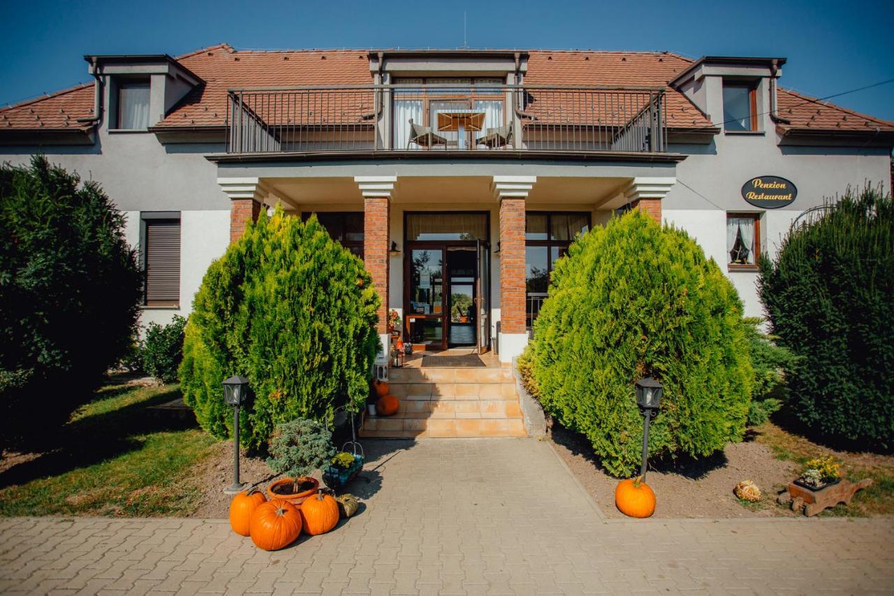 Penzion Platan Dunajská Streda 외부 사진